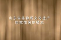 山東省非物質(zhì)文化遺產(chǎn)搶救性保護(hù)模式獲得項目獎
