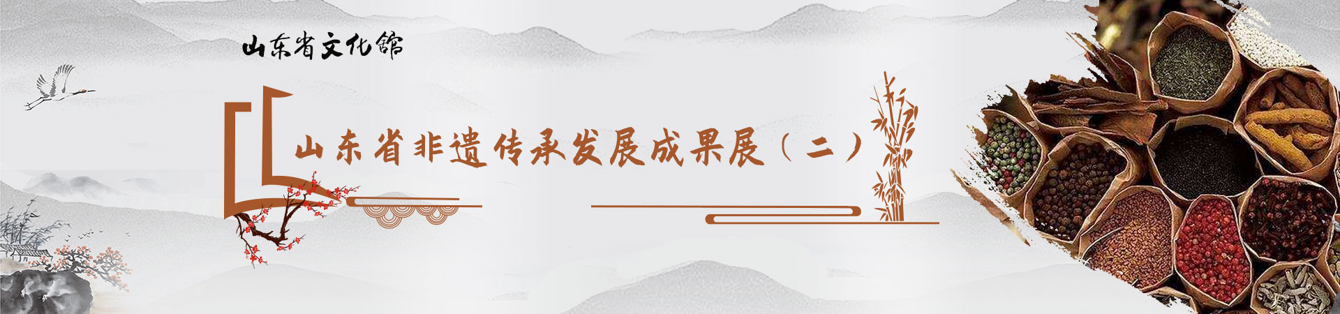 非遺傳承發(fā)展成果展2